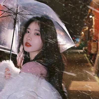 雪落时你向南飞